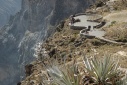 Colca vallei: Cruz del Condor