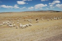 Van Chivay naar Puno