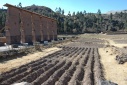 Site van Raqchi