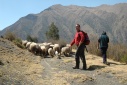 Van Chincheros naar de Urubambavallei