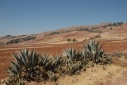 Landschap nabij Maras