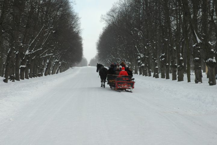 Pavlovsk: grote laan voor het paleis
