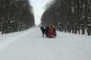 Pavlovsk: grote laan voor het paleis