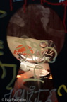 N70_61279
