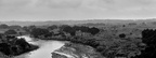 D600_12156