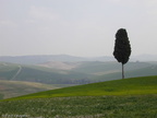 DSD09366