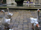DSD04002