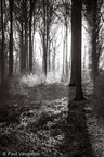 D750_11449