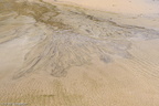 D750_26867
