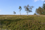 D750_27954