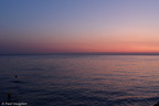 D750_44680