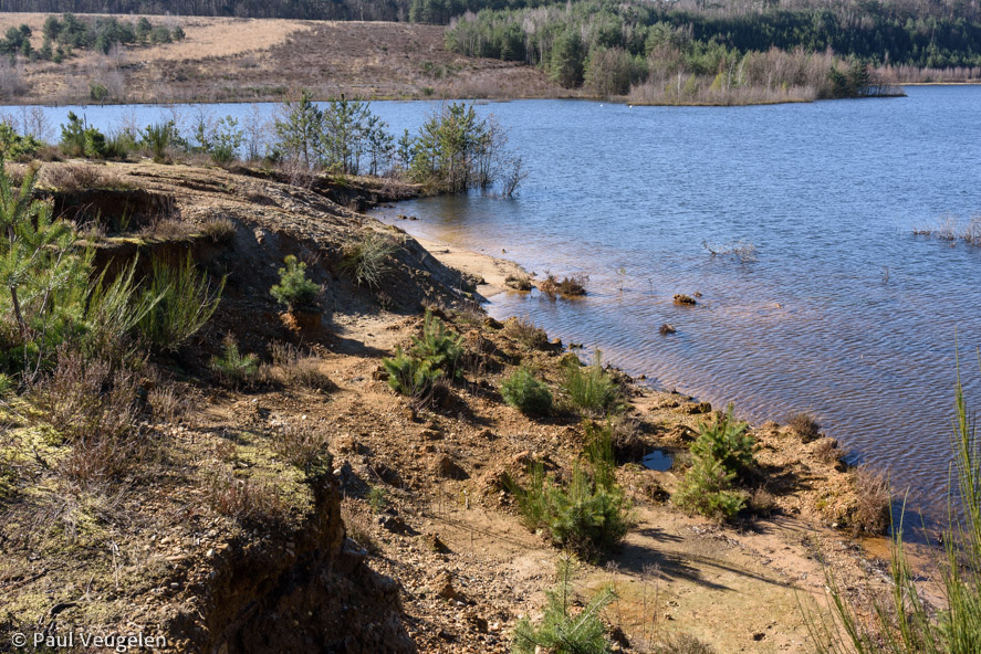 D750_24459.jpg