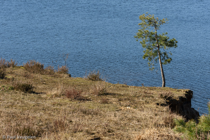 D7200_01621.jpg