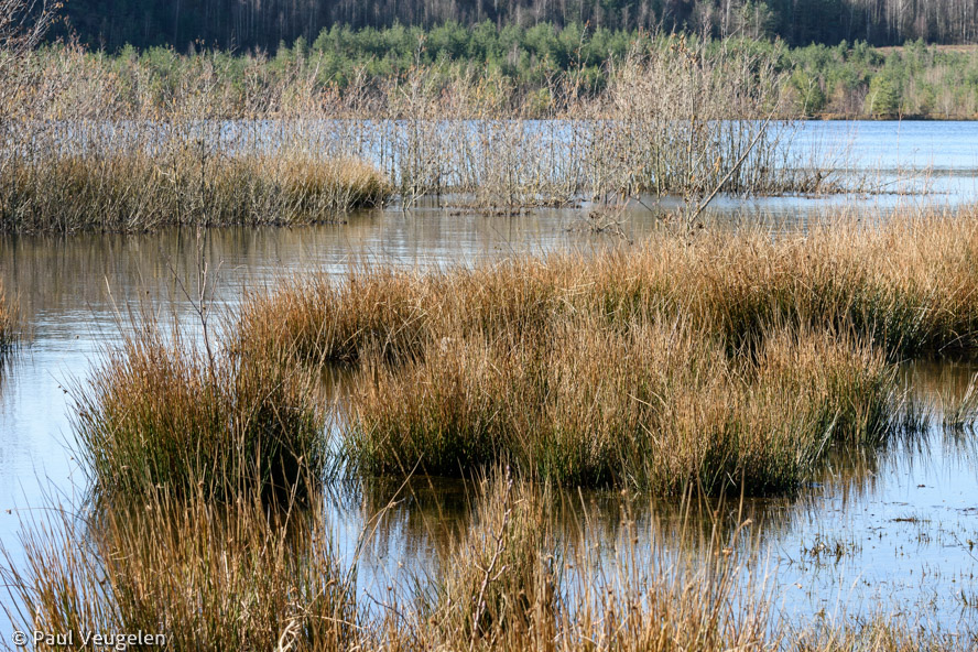 D7200_01637.jpg