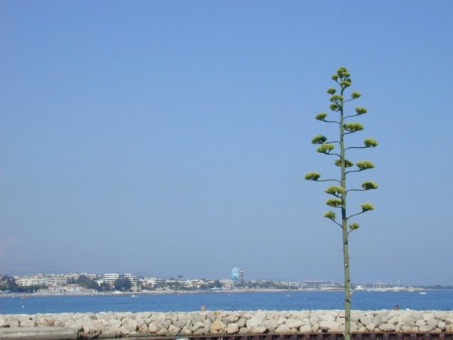 Cagnes-sur-Mer