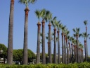 Cannes
