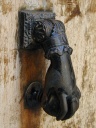 Biot