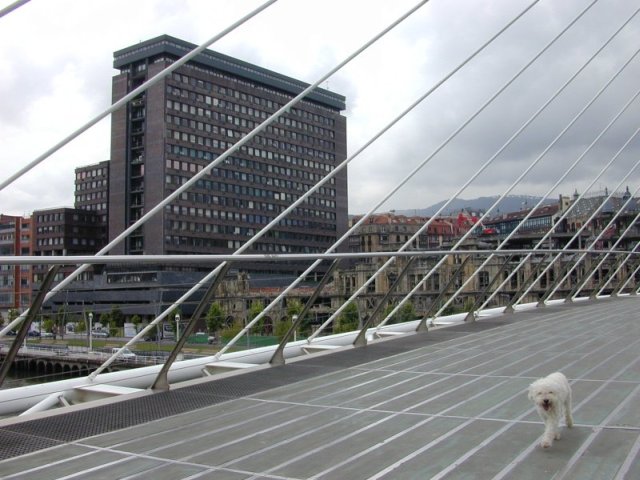 Bilbao: brug