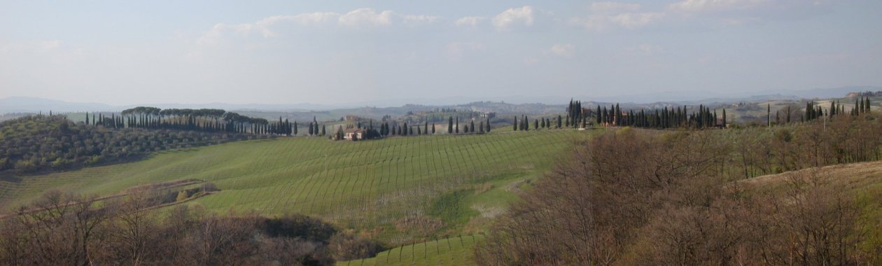 Tussen Chiusure en Buonconvento