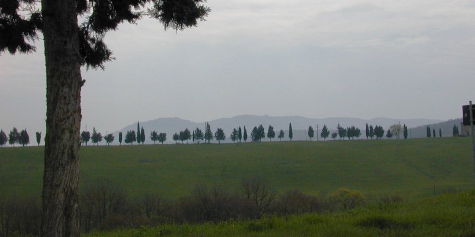 Tussen Buonconvento en Montalcino