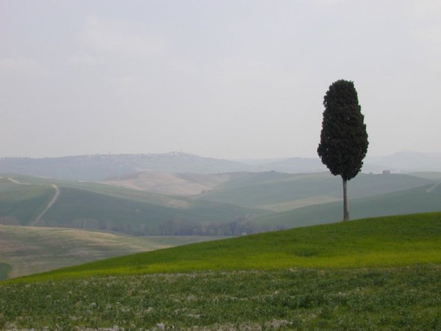 Landschap tussen S. Quirico en Pienza