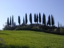 Tussen Palazzo Venturi en Monte Olivetto Maggiore