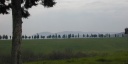 Tussen Buonconvento en Montalcino