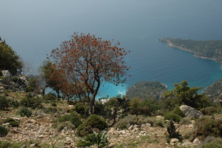 De kust tussen Kabak en Bogazici