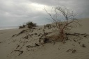 Duinen nabij Patara