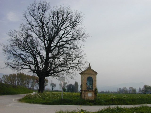 Tussen Spello en Bevagna