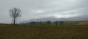 Tussen Montefalco en Spoleto