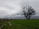 Tussen Montefalco en Spoleto